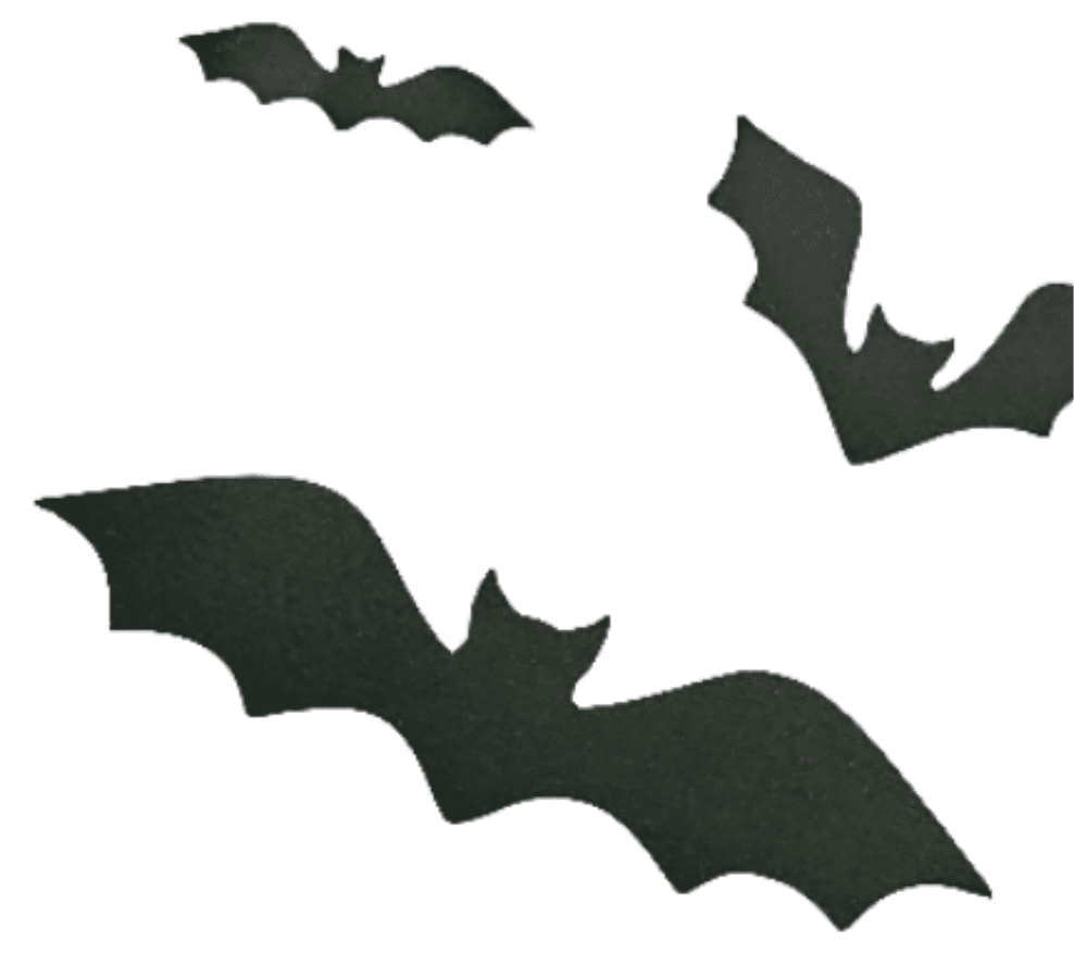 Halloween Bats